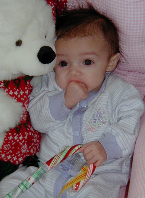 Genevieve and the Bear from Santa