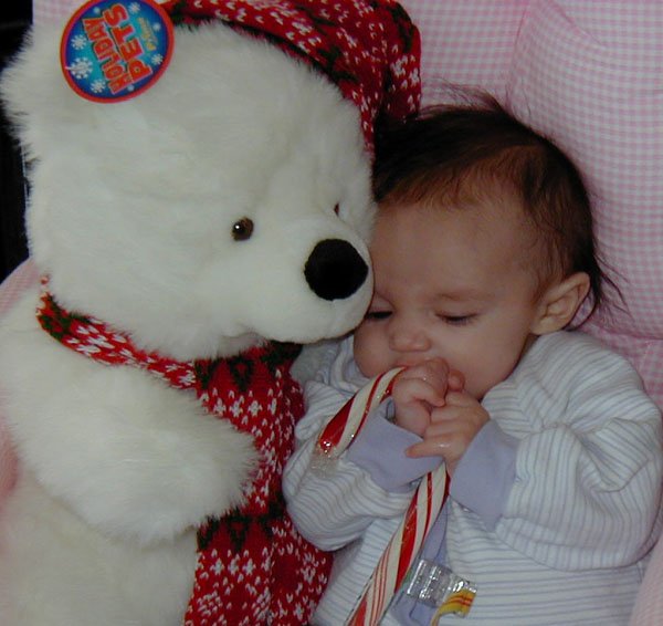 Genevieve, the Bear, and the Candy Cane