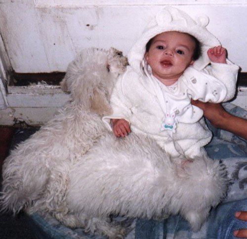 Genevieve with Max and Millie